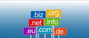 Read more about the article Choosing the right Web Domain for your brand’s website